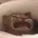 sobsviolently