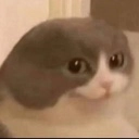 SeeThis Discord emoji