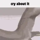 cryaboutit