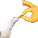 shut