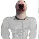 buffwalter buffwalter