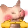 catto_awkwardblush catto_awkwardblush