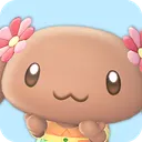 mocha