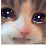 ysp_rodunga Discord emoji