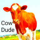 COWDUDE