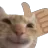 ThumbsUpCat