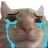 SadCat SadCat