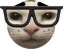 ritzbob