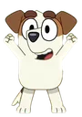 JackHooray