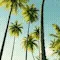 OahuSkies