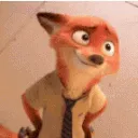 dns_foxthatsconcerning