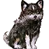 torgalSits torgalSits