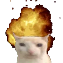 meowza