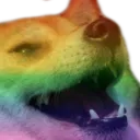 rainberk rainberk