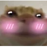 catFlushed_RS