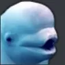 BELUGAAAA