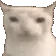 c_chew