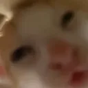 Guh