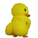 duckass