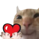 0CatHeart