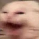 0CatWTF