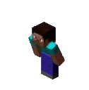 steve