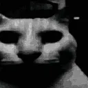 h_mad