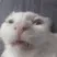 PleaseRefrainFromDoingThat