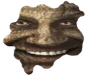 xddMacrophage