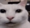 Poopy