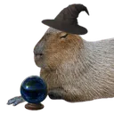Capywiz Capywiz