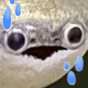 feeshsweat