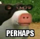 perhapscow