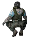 csass
