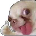 derpyes