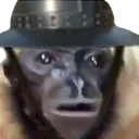 GibbonCleric GibbonCleric