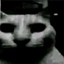 Uncannycat Discord Emoji