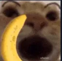bananaphone bananaphone