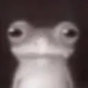 frogRG