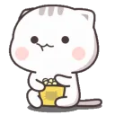 popcornkitten490 popcornkitten490