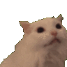 ahh