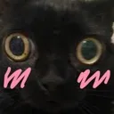 cat Discord Emoji
