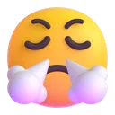 face_with_steam_from_nose_3d
