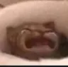 waaa