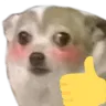 doglike
