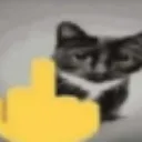 catfakyou