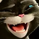 kitty_giggling Discord Emoji