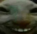 xdd