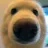 doggo_stare