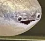 fishy